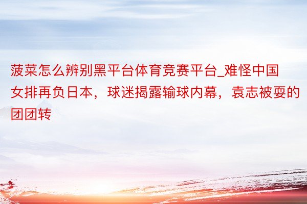 菠菜怎么辨别黑平台体育竞赛平台_难怪中国女排再负日本，球迷揭露输球内幕，袁志被耍的团团转