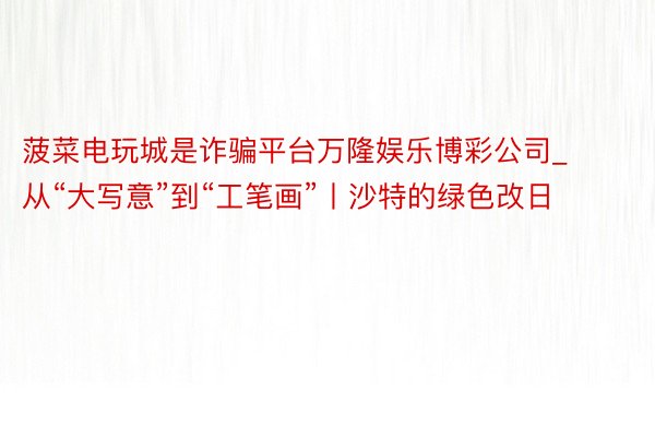 菠菜电玩城是诈骗平台万隆娱乐博彩公司_从“大写意”到“工笔画”丨沙特的绿色改日
